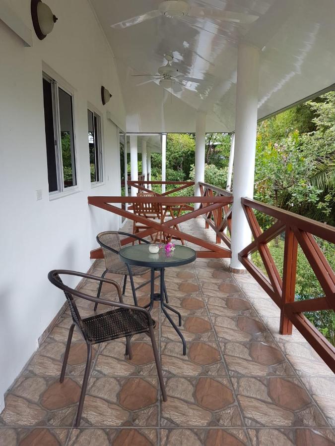 Magic Mountain Lodge Las Lajas  Dış mekan fotoğraf