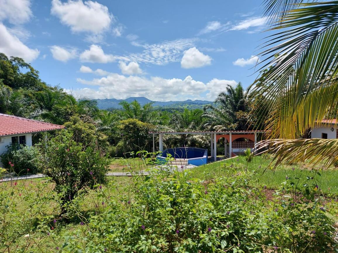 Magic Mountain Lodge Las Lajas  Dış mekan fotoğraf